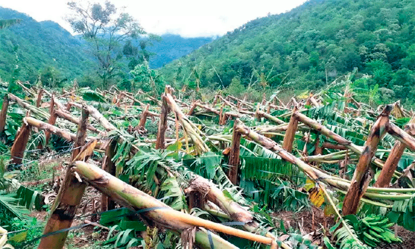 representational image representational image