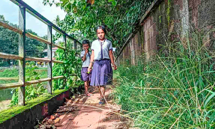 കാടുകയറി നശിക്കുന്ന ചിറക്കുളം