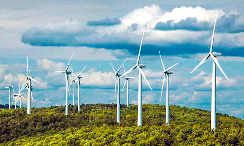 കാറ്റാടിപ്പാടം: സാധ്യതാപഠനത്തിനൊരുങ്ങി മൂന്നിലവ് പഞ്ചായത്ത് കാറ്റാടിപ്പാടം: സാധ്യതാപഠനത്തിനൊരുങ്ങി മൂന്നിലവ് പഞ്ചായത്ത്