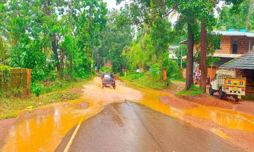 കുഴിയും വെള്ളക്കെട്ടും പിന്നെ കാടും... ഇതെന്ത് സംസ്ഥാന പാത കുഴിയും വെള്ളക്കെട്ടും പിന്നെ കാടും... ഇതെന്ത് സംസ്ഥാന പാത