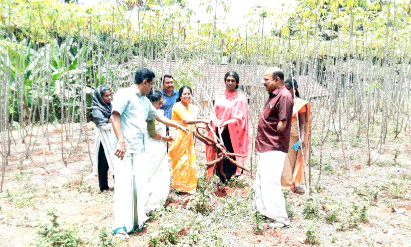 ട്രാ​ൻ​സ് വു​മ​ൺ ശ്രാ​വ​ന്തി​ക​യു​ടെ കാ​ർ​ഷി​ക വി​ള​വെ​ടു​പ്പ് ജി​ല്ല പ​ഞ്ചാ​യ​ത്ത് പ്ര​സി​ഡ​ന്‍റ്​ കെ.​ജി. രാ​ജേ​ശ്വ​രി ഉ​ദ്​​ഘാ​ട​നം ചെ​യ്യു​ന്നു