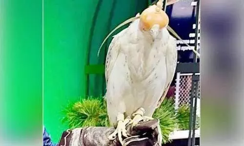 ഹ​മ​ദ് രാ​ജാ​വി​ന് റ​ഷ്യ​ൻ പ്ര​സി​ഡ​ന്റ് പു​ടി​ന്റെ സ​മ്മാ​നം