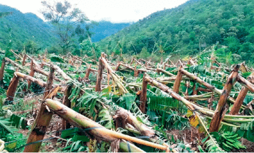 representational image representational image