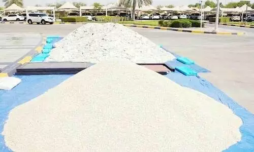 ദുബൈയിൽ 13 ടൺ മയക്കുമരുന്ന് ഗുളികകൾ പിടികൂടി