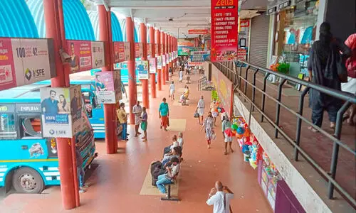 നി​പ സാ​മൂ​ഹി​ക ജീ​വി​ത​ത്തെ  സാ​ര​മാ​യി ബാ​ധി​ച്ചു