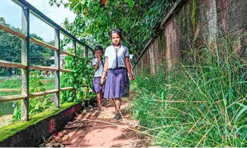 കാടുകയറി നശിക്കുന്ന ചിറക്കുളം