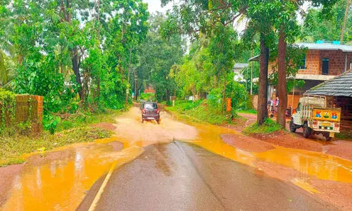 കുഴിയും വെള്ളക്കെട്ടും പിന്നെ കാടും... ഇതെന്ത് സംസ്ഥാന പാത​