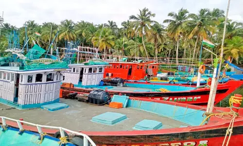 നിരോധിത വല ഉപയോഗിച്ച് മത്സ്യ ബന്ധനം: നാല് ബോട്ടുകൾ പിടികൂടി നിരോധിത വല ഉപയോഗിച്ച് മത്സ്യ ബന്ധനം: നാല് ബോട്ടുകൾ പിടികൂടി