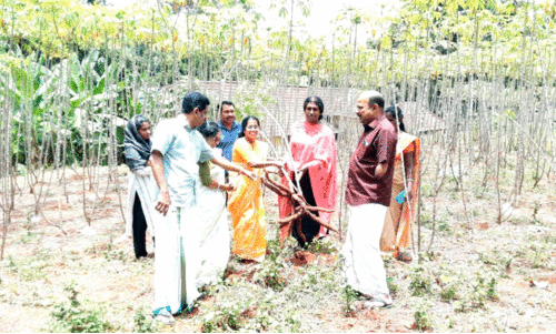 ട്രാ​ൻ​സ് വു​മ​ൺ ശ്രാ​വ​ന്തി​ക​യു​ടെ കാ​ർ​ഷി​ക വി​ള​വെ​ടു​പ്പ് ജി​ല്ല പ​ഞ്ചാ​യ​ത്ത് പ്ര​സി​ഡ​ന്‍റ്​ കെ.​ജി. രാ​ജേ​ശ്വ​രി ഉ​ദ്​​ഘാ​ട​നം ചെ​യ്യു​ന്നു