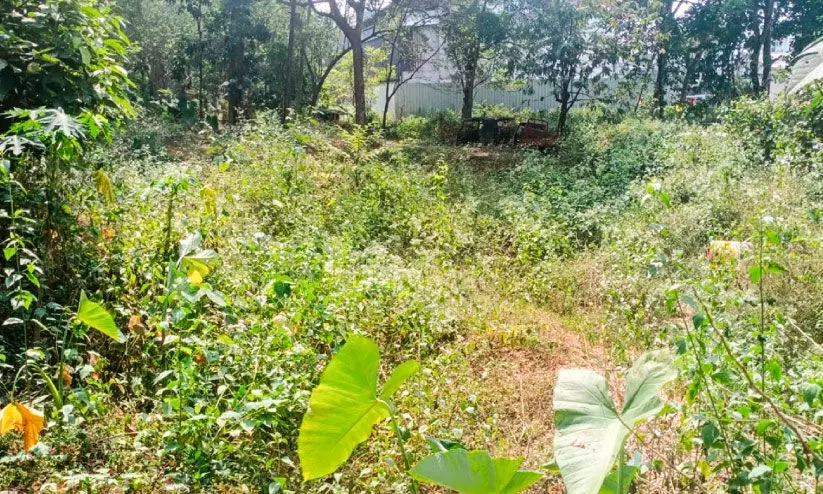 സിവിൽ സ്റ്റേഷൻ ഇല്ല; സർക്കാർ ഓഫിസ്​ ഇപ്പോഴും വാടകക്കെട്ടിടങ്ങളിൽ