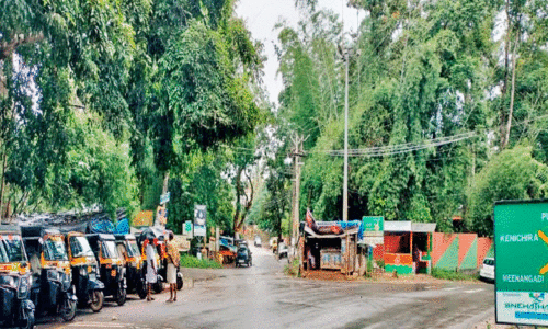വന്യജീവി ആക്രമണം രൂക്ഷമായ ഇരുളത്ത് ഹൈമാസ്റ്റ് ലൈറ്റും കണ്ണടച്ചു