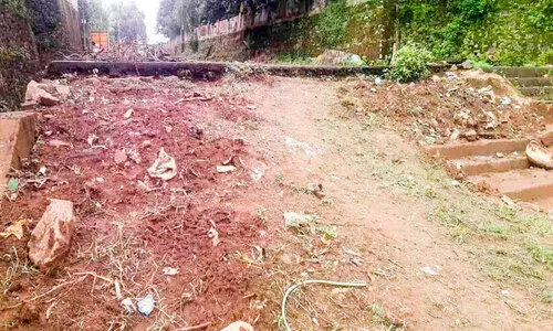 ഒടുവിൽ ചന്തക്കടവിലെ കാടുകൾ വെട്ടിത്തെളിച്ചു