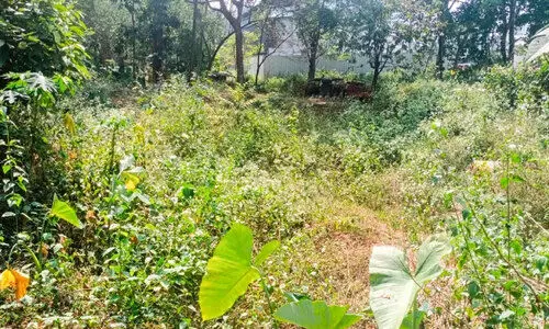 സിവിൽ സ്റ്റേഷൻ ഇല്ല; സർക്കാർ ഓഫിസ്​ ഇപ്പോഴും വാടകക്കെട്ടിടങ്ങളിൽ