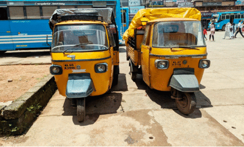 അനധികൃത തെരുവ് കച്ചവടം രണ്ട് വാഹനങ്ങൾ പിടികൂടി