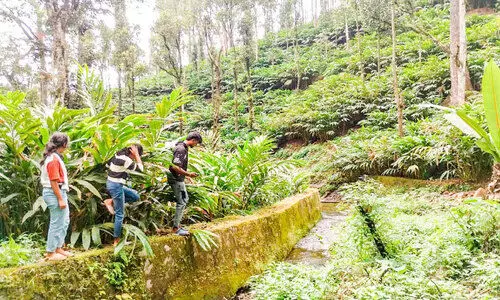 മാ​പ്പ​ത്ത​ണ്‍ കേ​ര​ള; പു​ഴ​ക​ളു​ടെ​യും നീ​ര്‍ച്ചാ​ലു​ക​ളു​ടെ​യും മാ​പ്പി​ങ് ജോ​ലി​ക​ള്‍ തു​ട​ങ്ങി