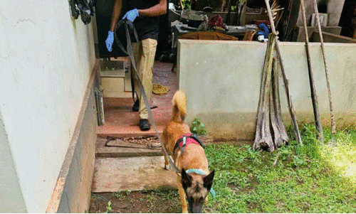 കുമ്പളയിൽ പതിവായി കവർച്ച;  ജനങ്ങൾ ആശങ്കയിൽ