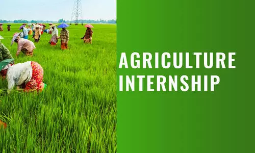 കൃഷി ഡിപ്ലോമക്കാർക്ക് ഇന്റേൺഷിപ്പ് - സെപ്റ്റംബർ 19 വരെ അപേക്ഷിക്കാം