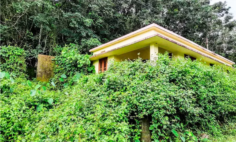 പെരുന്തേനരുവിയിൽ ശുചിമുറി കാടുകയറിയ നിലയിൽ