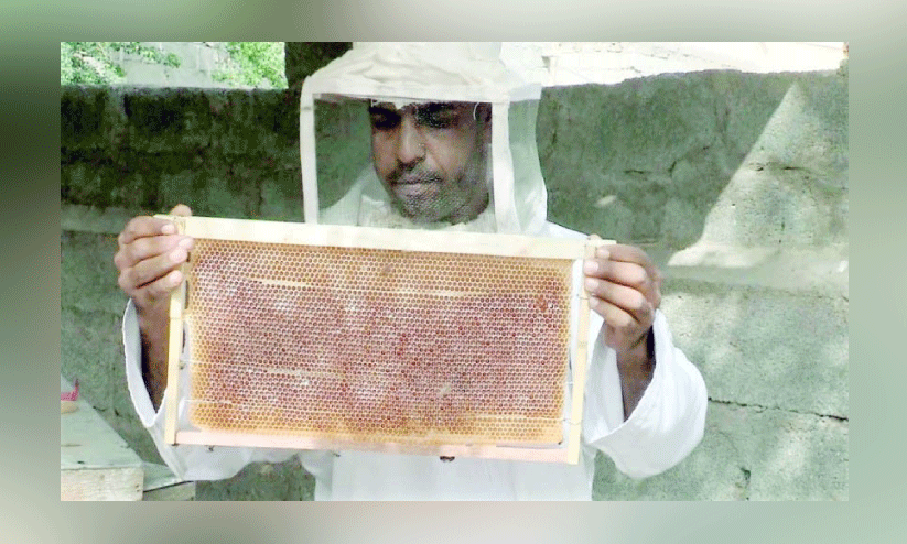 തേ​ൻ ഉ​ൽ​പാ​ദ​ന​ത്തി​ൽ ഇ​ടി​വ്​