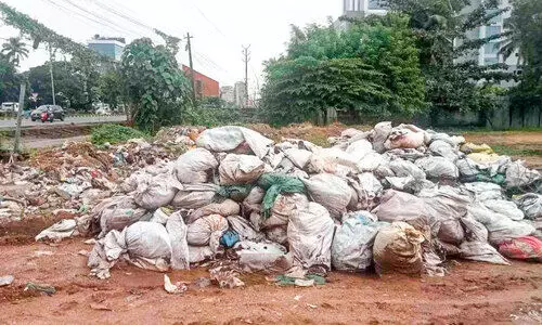 മരടിലും കുമ്പളത്തും സാമൂഹിക വിരുദ്ധരുടെ അഴിഞ്ഞാട്ടം