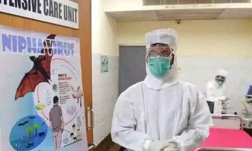 നിപ: കേന്ദ്ര മൃഗസംരക്ഷണ വകുപ്പിന്‍റെ വിദഗ്ധ സംഘം നാളെ കോഴിക്കോട്ടെത്തും