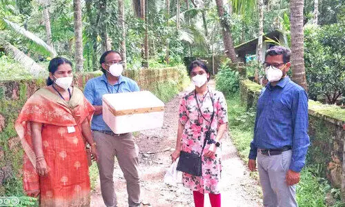 nipah virus