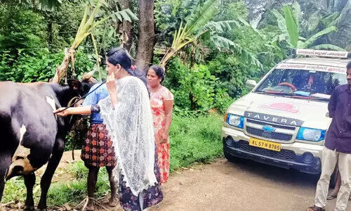 travelling animal hospital