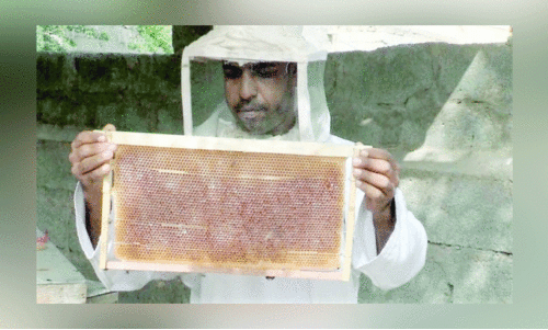 തേ​ൻ ഉ​ൽ​പാ​ദ​ന​ത്തി​ൽ ഇ​ടി​വ്​