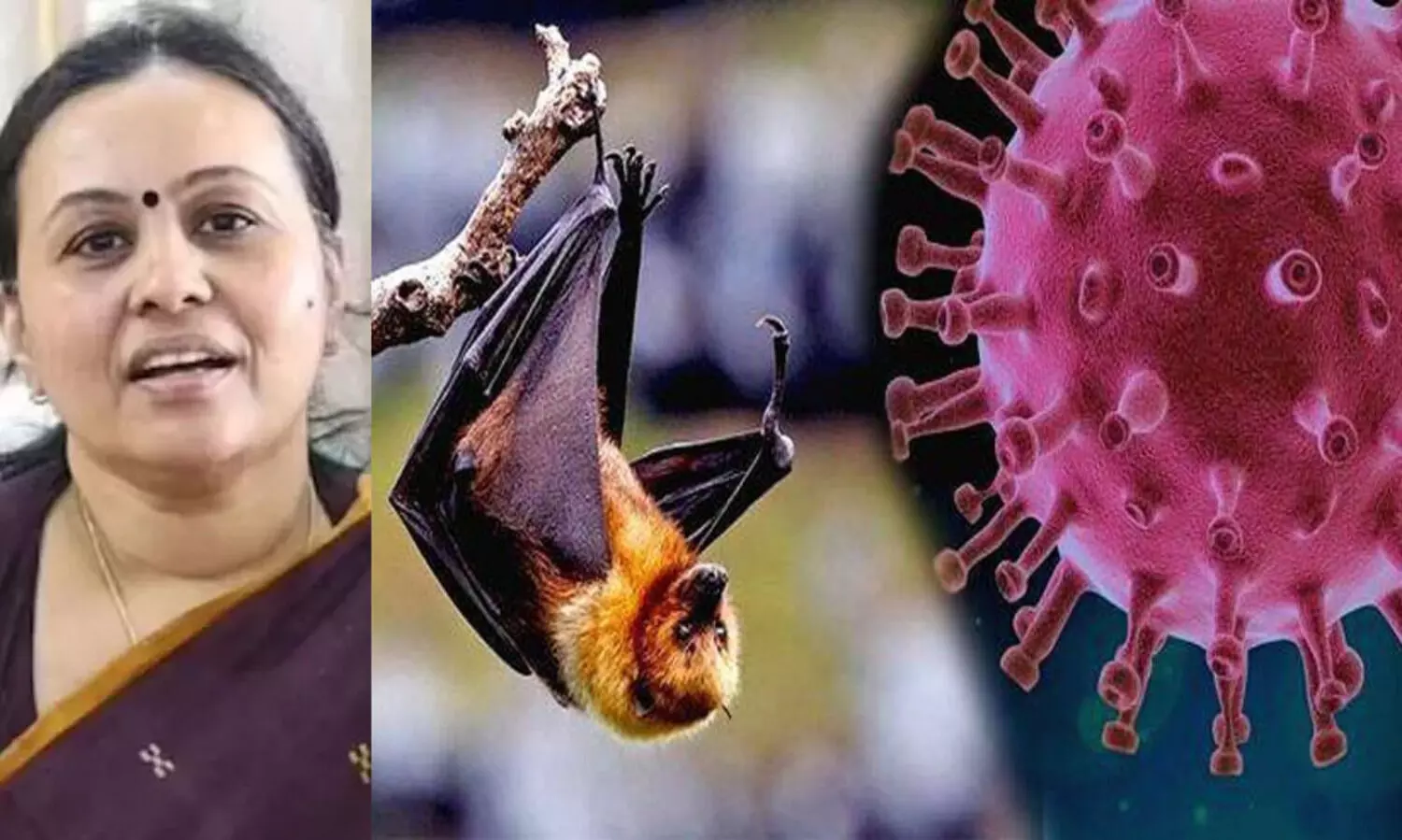 നിപ പ്രതിരോധം ജില്ലകള്‍ ജാഗ്രത തുടരണമെന്ന് വീണ ജോര്‍ജ്