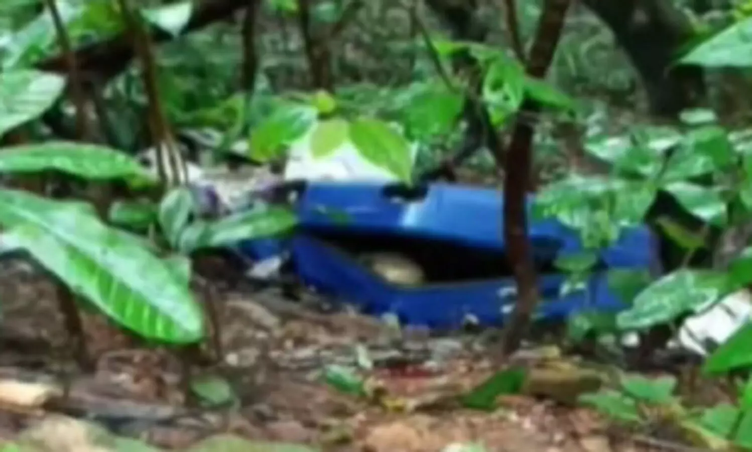 ചുരത്തിൽ കണ്ടെത്തിയ മൃതദേഹം ആരുടേത്? കേരളത്തിൽനിന്ന് കാണാതായ യുവതികളെ കേന്ദ്രീകരിച്ച് അന്വേഷണം