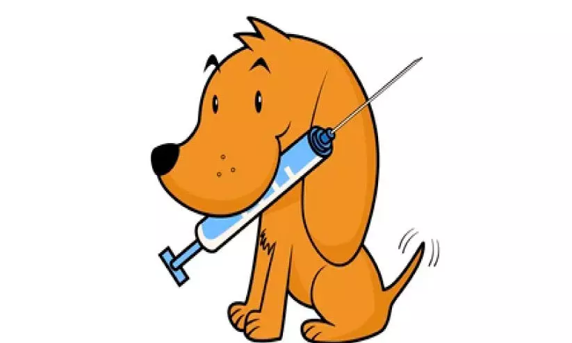 വളർത്തുനായ്ക്കൾക്ക് വാക്സിനേഷൻ ക്യാമ്പ്