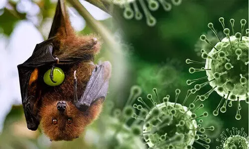 നിപ ആശ്വാസം പരക്കട്ടെ...