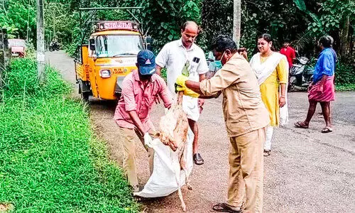 പൂഴിക്കാട് വീട്ടമ്മയെ കടിച്ച നായ്​ക്ക് പേവിഷബാധ സ്ഥിരീകരിച്ചു