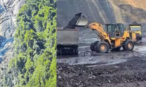 സംസ്ഥാന പരിസ്ഥിതി അതോറിറ്റിക്കെതിരെ ക്രിമിനൽ കേസെടുക്കണമെന്ന് പ്രകൃതി സംരക്ഷണ സമിതി