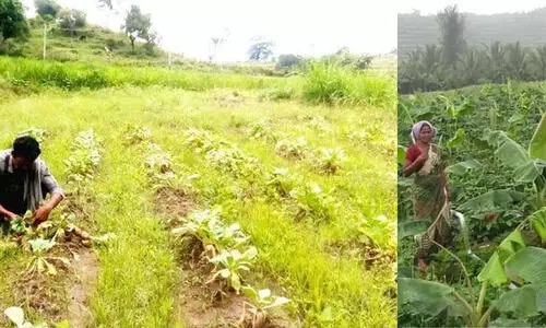 അട്ടപ്പാടി ആദിവാസി സമഗ്ര വികസന പദ്ധതിയുടെ നേതൃത്വത്തിൽ നമത്ത് തീവനഗ സന്ദേശ യാത്ര