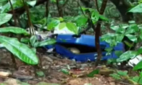 രാവിലെ മുതൽ രൂക്ഷ ദുർഗന്ധം, അന്വേഷണത്തിനിടെ ട്രോളി ബാഗിൽ തലയോട്ടിയും ശരീരഭാഗങ്ങളും; മാക്കൂട്ടം ചുരത്തിൽ കണ്ടെത്തിയത് രണ്ടാഴ്ച പഴക്കമുള്ള മൃതദേഹം