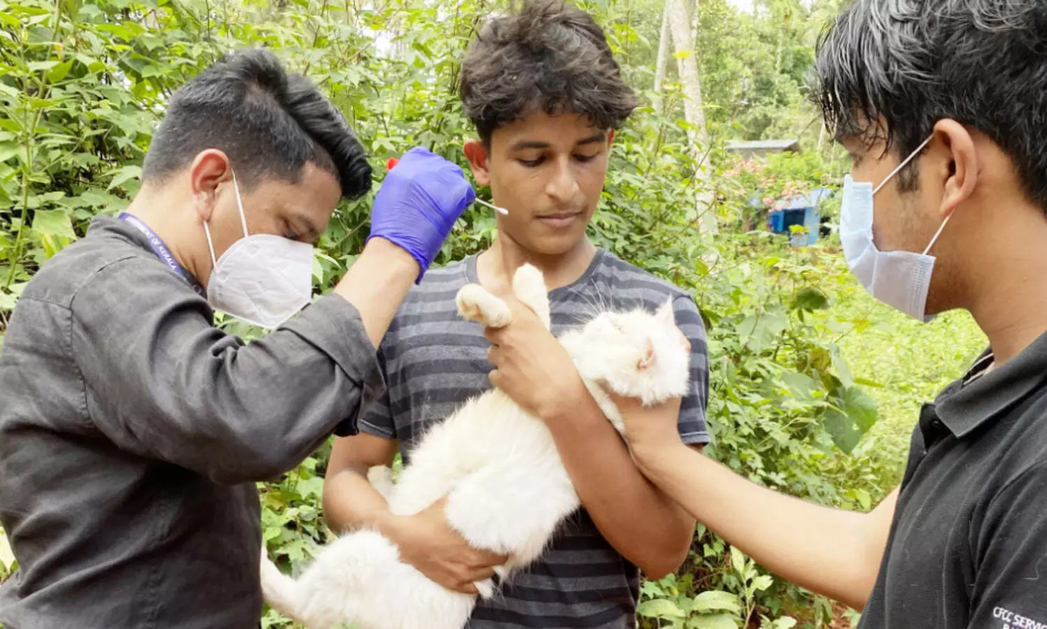 Nipah: Kerala will conduct study