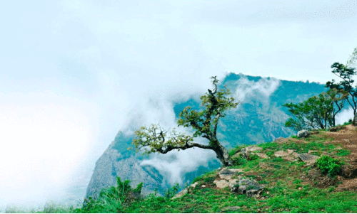 Nelliampathy Eco Tourism