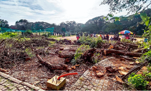 ഉപജില്ല മത്സരങ്ങൾ തുടങ്ങി; നല്ല മൈതാനങ്ങളില്ലാതെ സംഘാടകർ വലയുന്നു