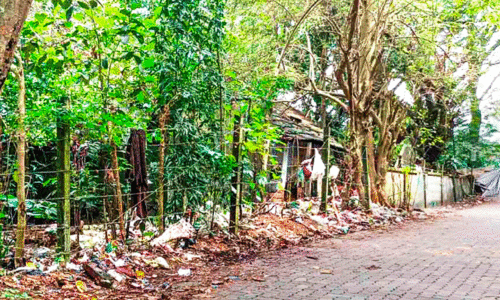 റോഡരികിൽ തള്ളിയ മാലിന്യം നീക്കി റോഡരികിൽ തള്ളിയ മാലിന്യം നീക്കി