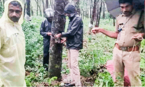 വന്യമൃഗ ആക്രമണം: വനംവകുപ്പ് നിരീക്ഷണ കാമറകൾ സ്ഥാപിച്ചു