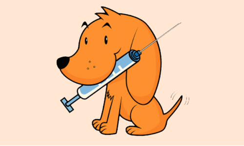 പേ​വി​ഷ പ്ര​തി​രോ​ധ കു​ത്തി​വെ​പ്പ്​    ക്യാ​മ്പ് നാളെ മു​ത​ൽ