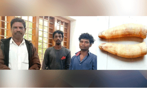 പെരിയാർ കാടിന് ചുറ്റും വേട്ടക്കാർ