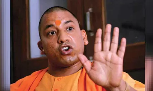 yogi 87897