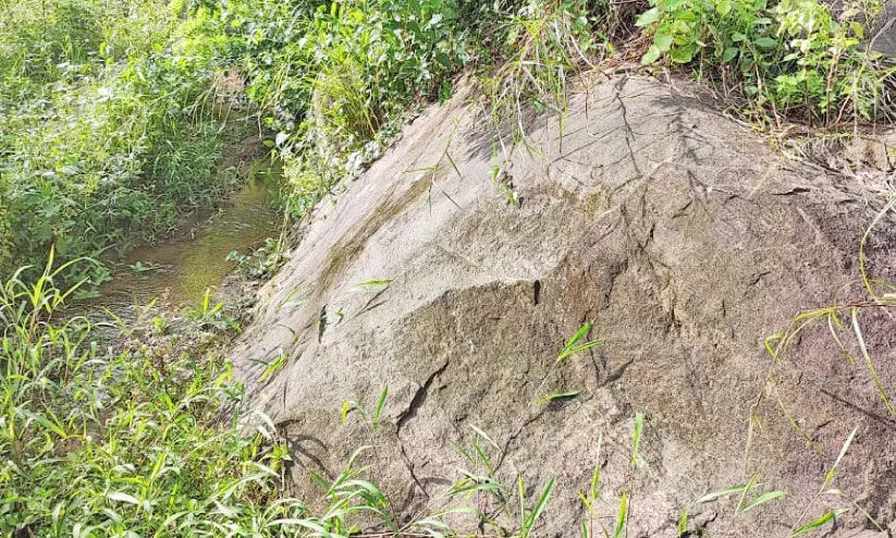 quarry starting-protest quarry starting-protest