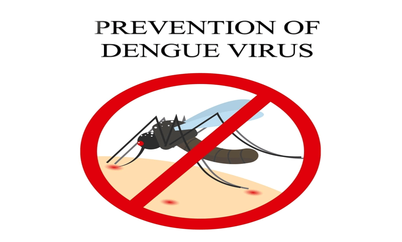 Prevention Of Dengue Virus