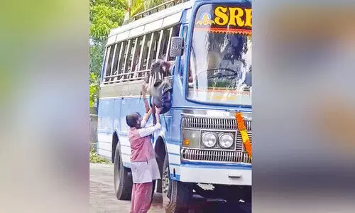 ബെ​സ്റ്റാ​ണ് ബാ​ലാ​ജി ബ​സ്