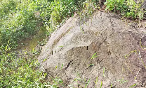 quarry starting-protest