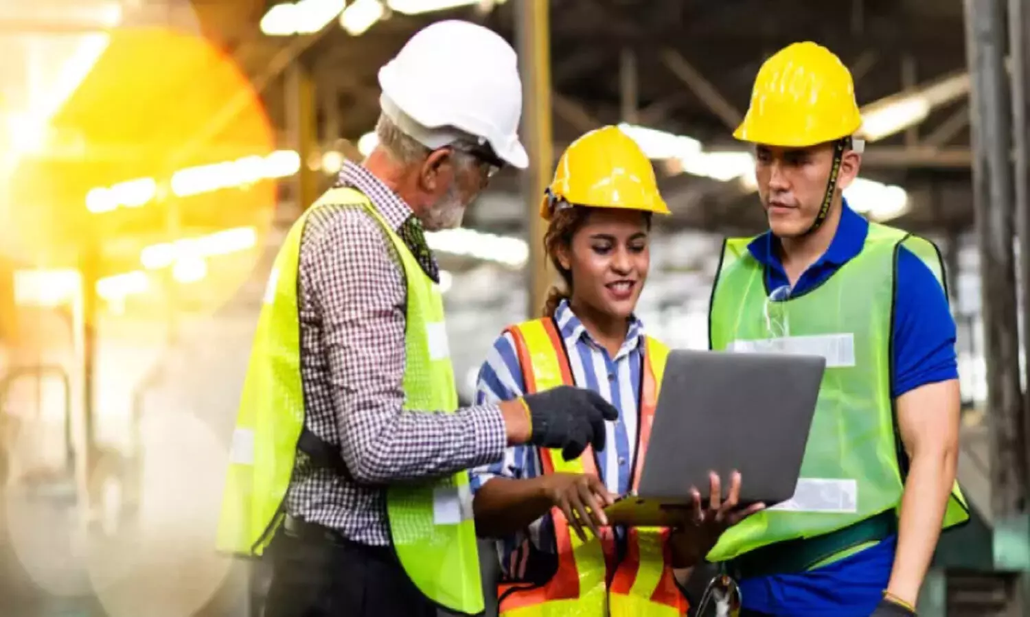 Professional Verification