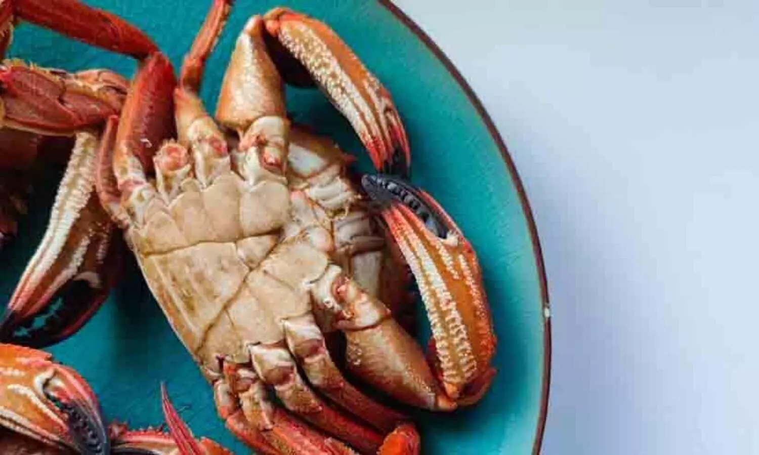 സിംഗപ്പൂരിൽ ഞണ്ട് ഫ്രൈ കഴിക്കാൻ ഈടാക്കിയത് 56,000 രൂപ; ബില്ല് കണ്ട് ഞെട്ടി പൊലീസിനെ വിളിച്ച് ജാപ്പനീസ് വിനോദ സഞ്ചാരി